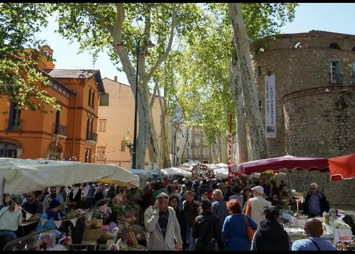 Maison De Le Bosquet Vakantiehuis Céret